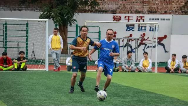 港奥宝典免费资料大全
