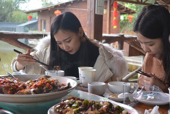 港奥宝典免费资料大全